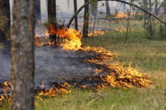 В Алтайском крае произошел пожар из-за горевшего авто